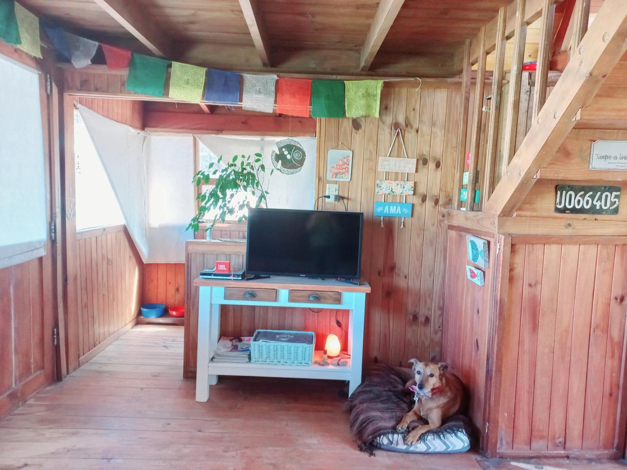 El Canto De La Ballena Bungalow 2 Niveles Puerto Pirámides Εξωτερικό φωτογραφία